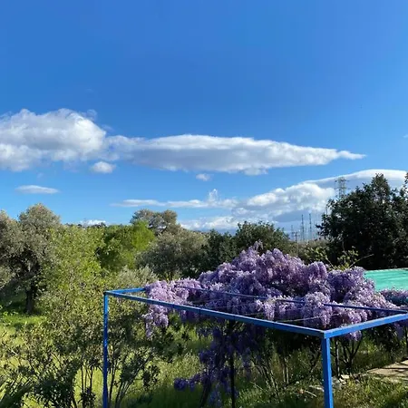 / Yaliciftlik'te Yazlik Ev Villa